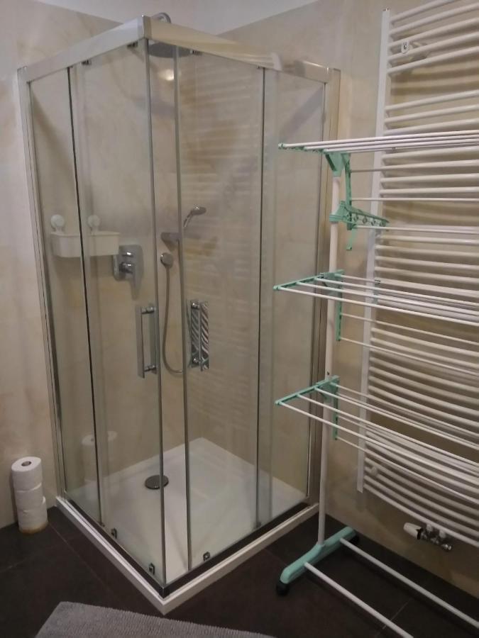 Apartman Rezidence Moser-Free Parking Garage كارلوفي فاري المظهر الخارجي الصورة